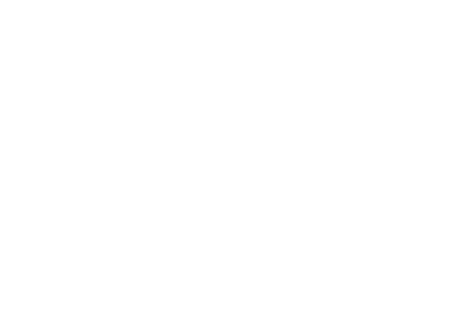 RICAAR3D